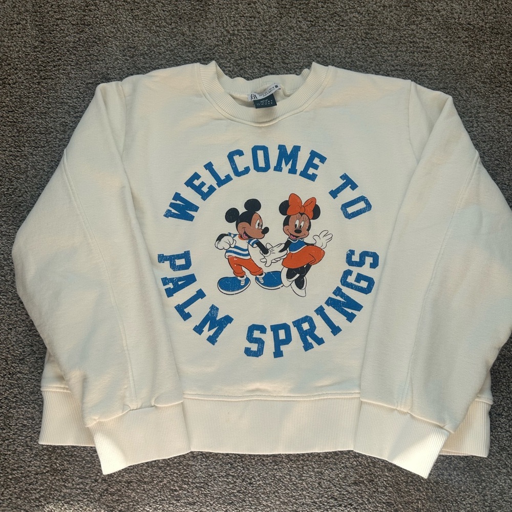 Zara Cropped Disney Sweatshirt